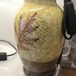 缩略图 2