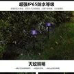 缩略图 9
