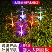 缩略图 1