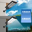 缩略图 3