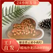缩略图 2