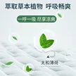 缩略图 3