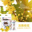 缩略图 5