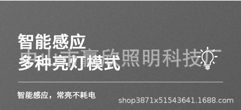 一体化太阳能路灯LED太阳能照明灯家用大功率太阳能灯户外庭院灯详情3
