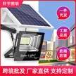 缩略图 2