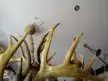 缩略图 3
