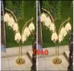 缩略图 1