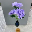 缩略图 2