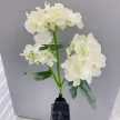 缩略图 4