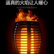缩略图 2