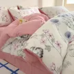 缩略图 3