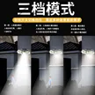 缩略图 3