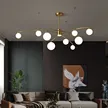 缩略图 1