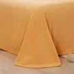 缩略图 7