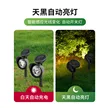缩略图 2