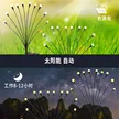 缩略图 5