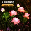 缩略图 2