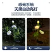 缩略图 3