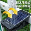 缩略图 4