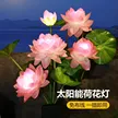 缩略图 4