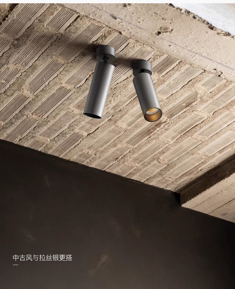 万仕通电镀银色明装射灯中古风360可调角度洗墙照画不锈钢led壁灯详情3