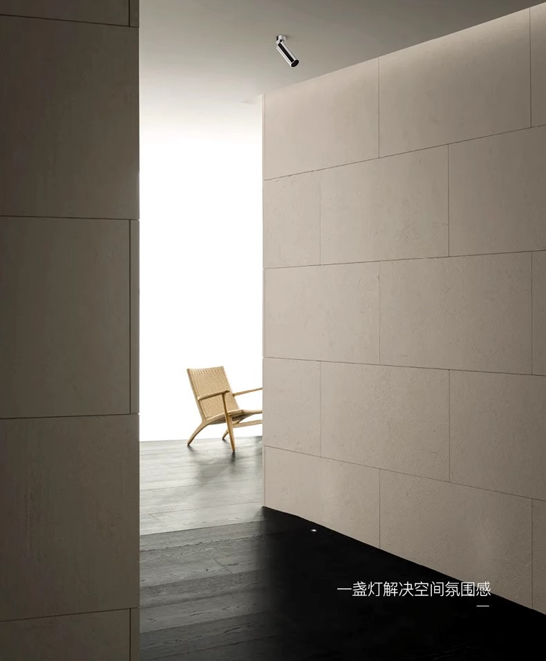 万仕通电镀银色明装射灯中古风360可调角度洗墙照画不锈钢led壁灯详情9