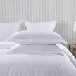 缩略图 1