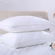 缩略图 5