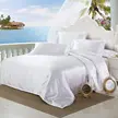 缩略图 5