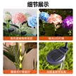 缩略图 5