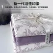 缩略图 4