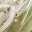 缩略图 2