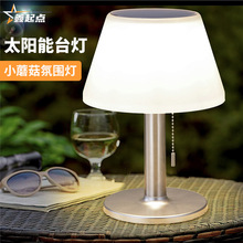 跨境太阳能不锈钢小管灯户外防水庭院地插灯花园景观太阳能草坪灯详情15
