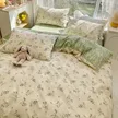缩略图 1