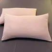 缩略图 1