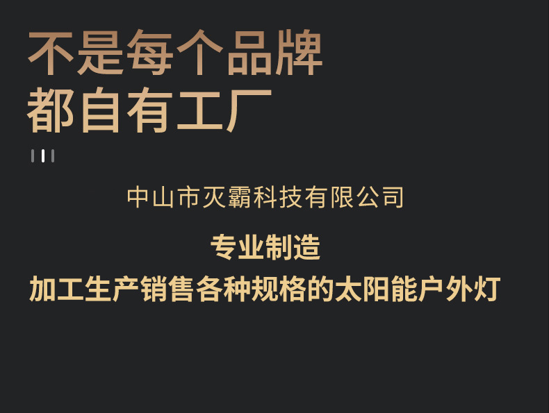 太阳能灭蚊灯 庭院室外防水照明花园家用物理电击驱蚊灯捕蚊神器详情27
