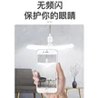 缩略图 5