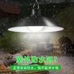 缩略图 3