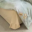 缩略图 2