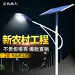 缩略图 6
