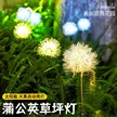 缩略图 2