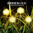 缩略图 3