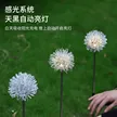 缩略图 4