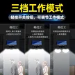 缩略图 5