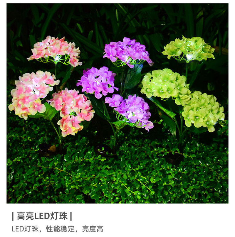 1 (20).jpg
