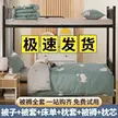 缩略图 9