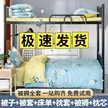 缩略图 8