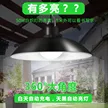 缩略图 4