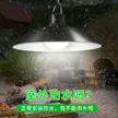 缩略图 3