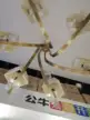 缩略图 3